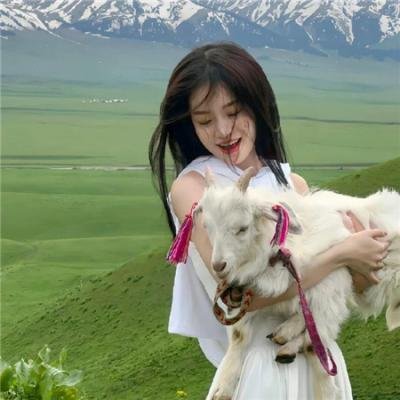 万物生灵第六季